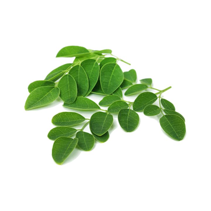 Normadex contiene foglie di moringa, un efficace rimedio naturale contro i parassiti
